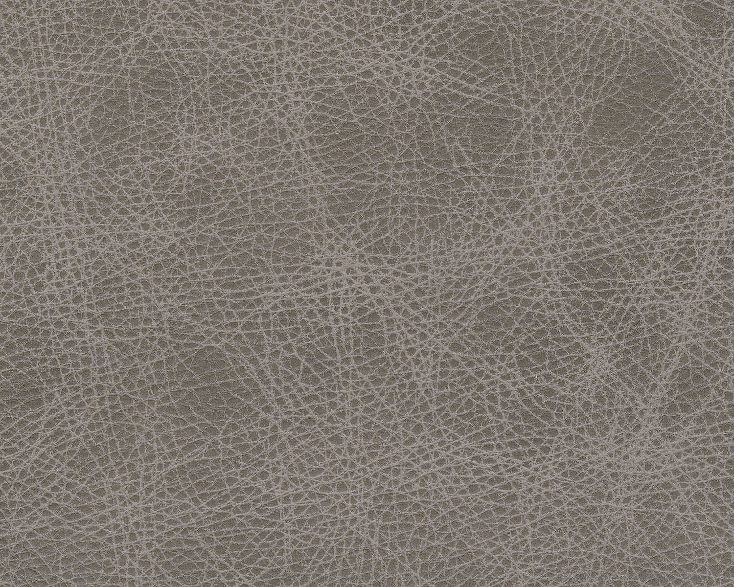 Bradney Swivel Accent Chair - Image 6