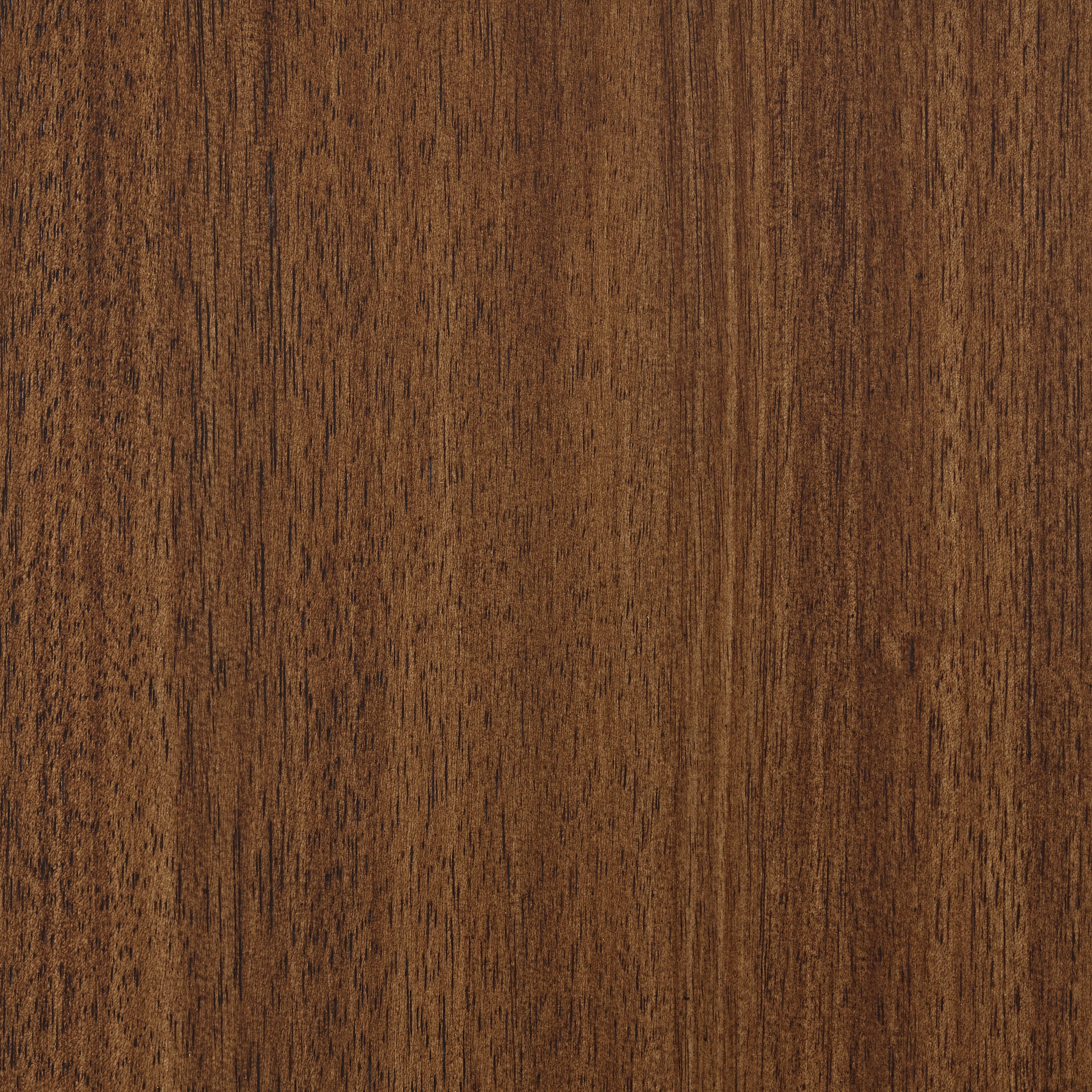 Lyncott Dining Server - Image 8